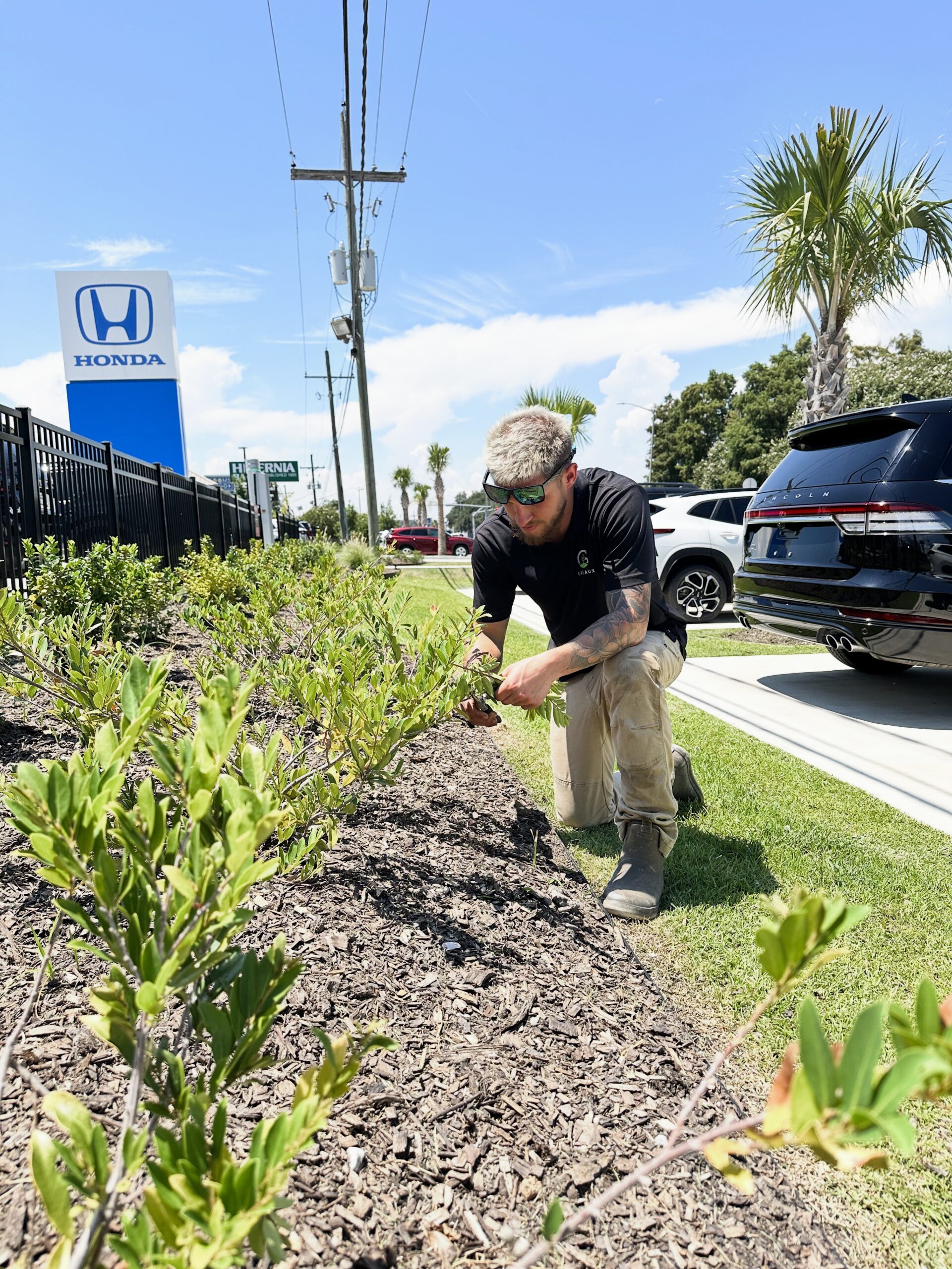 Commercial landscape installation by Greaux Landscaping
